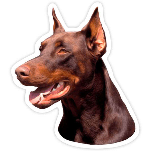 Pegatinas: Doberman