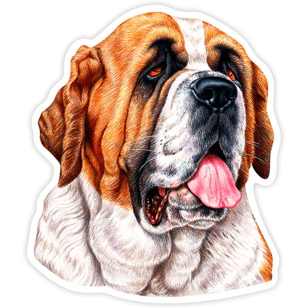 Pegatinas: Saint Bernard