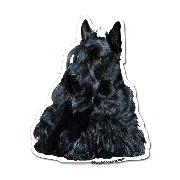 Pegatinas: Scottish Terrier