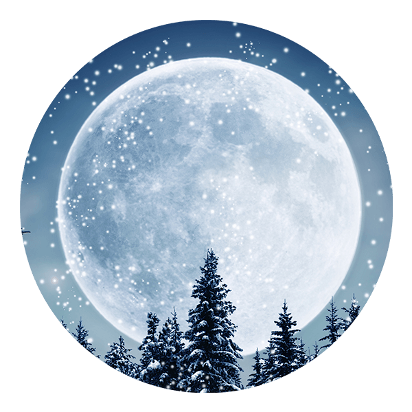 Vinilos Decorativos: Luna Llena en el Bosque