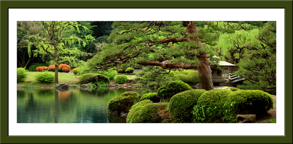 Vinilos Decorativos: Cuadro Jardin japonés
