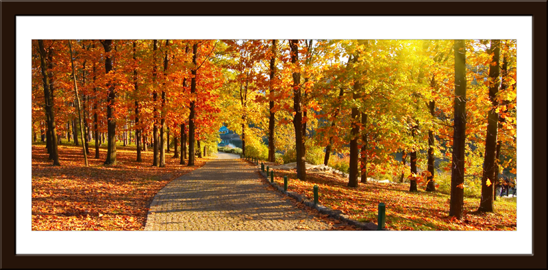 Vinilos Decorativos: Cuadro Otoño en el Parque