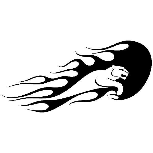 Black And White Cat Graphics Black And White Cat Graphics