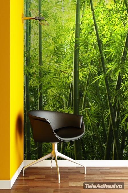 Fotomurales: Bambú
