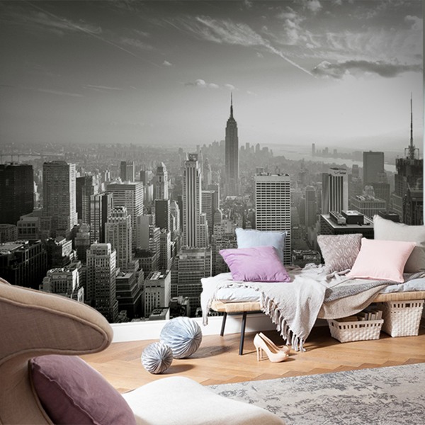 Fotomurales: New York skyline 0