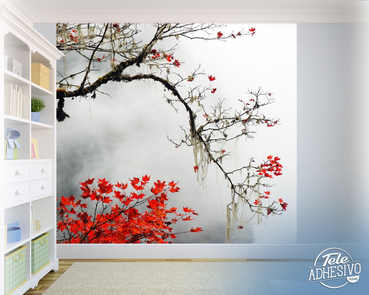 Vinilos Decorativos Black Friday Vinilos Decorativos Black Friday