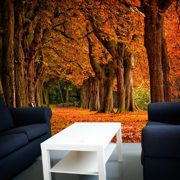 Fotomurales: Parque en otoño