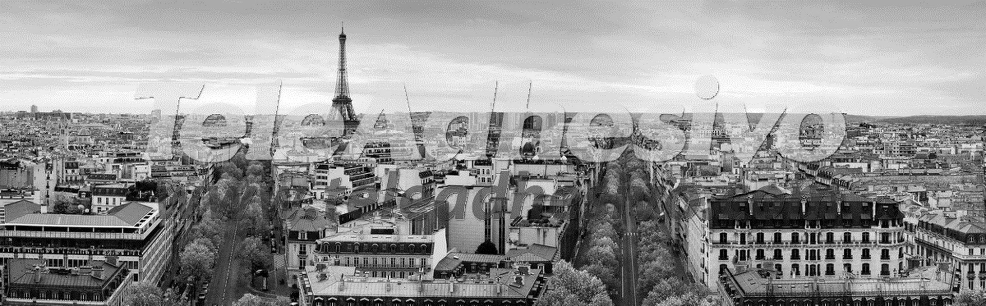 Fotomurales: Panorámica de París en blanco y negro
