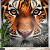 Fotomurales: Tigre de Bengala 4