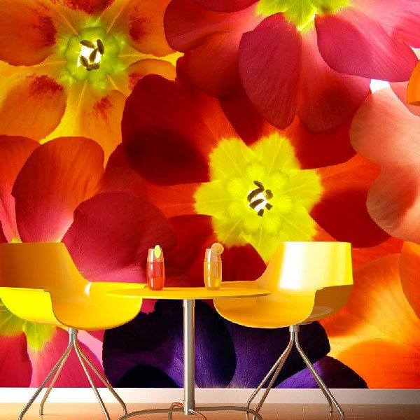 Fotomurales: Flores de Coloridas