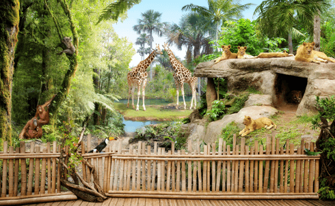Fotomurales: Animales de la selva