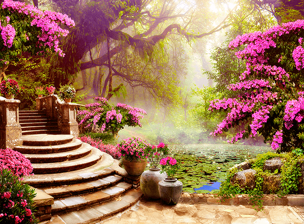 Fotomurales: El jardín del nenúfar
