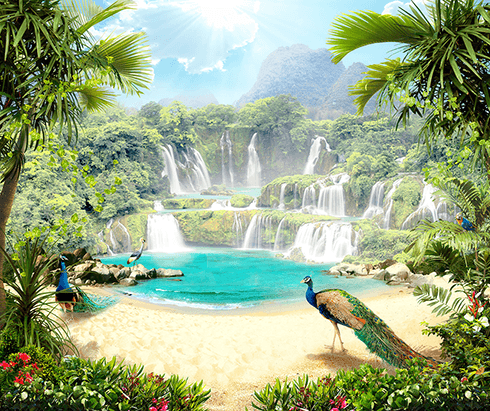 Fotomurales: Paraíso tropical