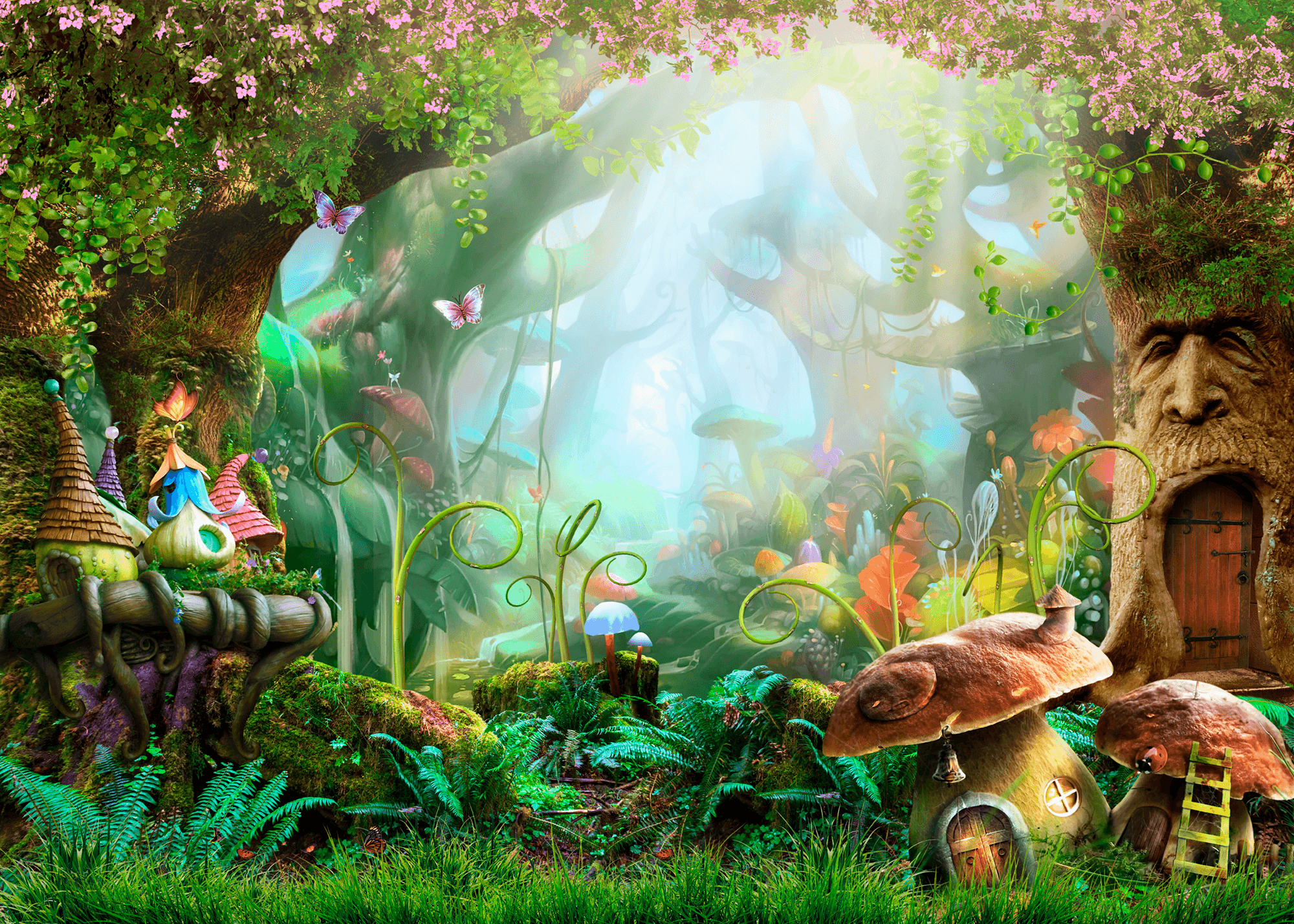 Fotomurales: Bosque de fantasía