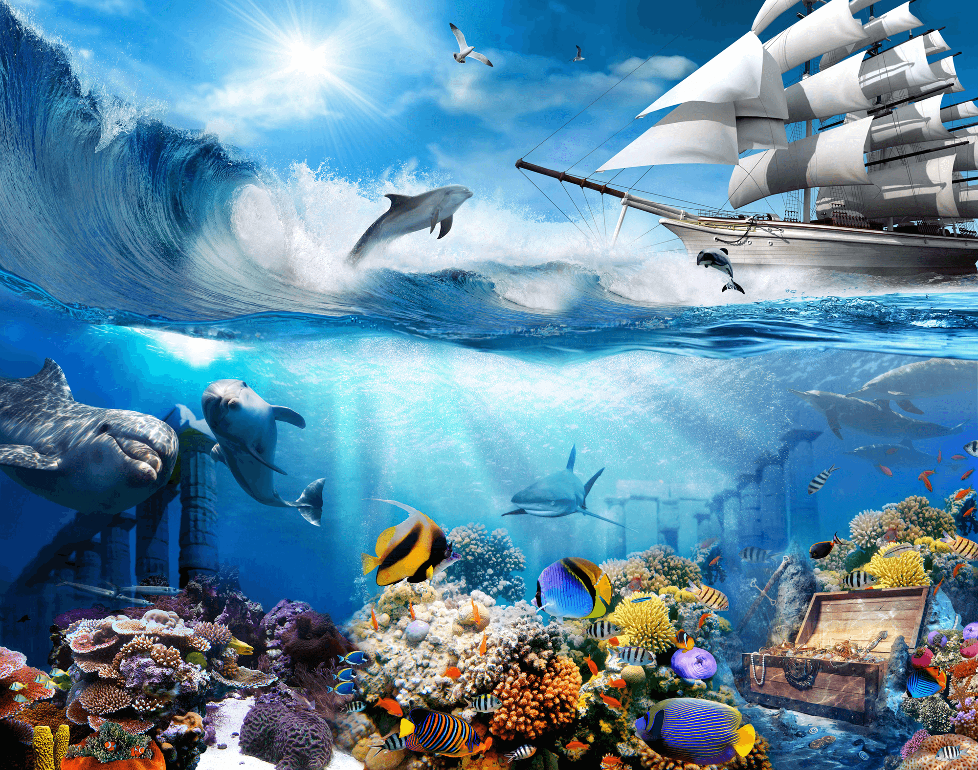 Fotomurales: Fondo marino delfines
