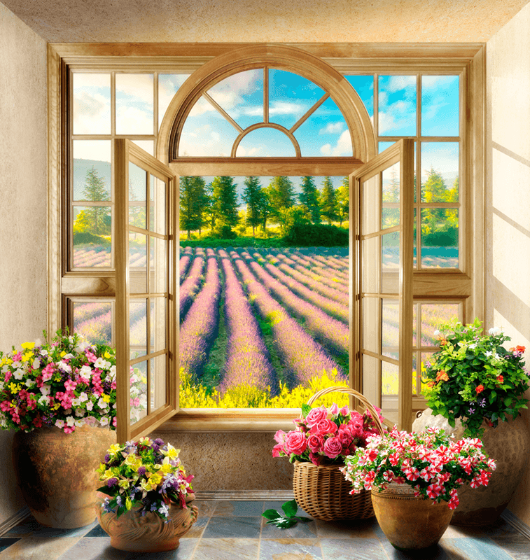 Fotomurales: Ventana al campo de Lavanda