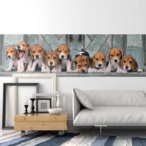 Fotomurales: Cachorros de beagles 0