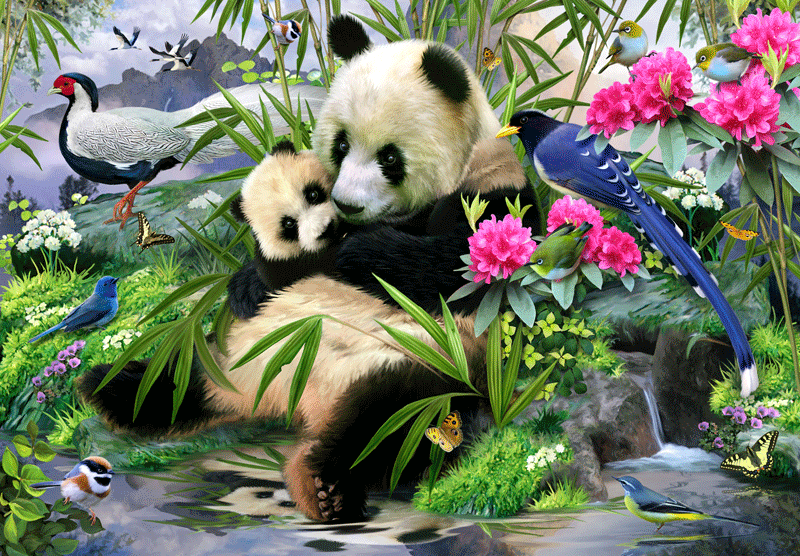Fotomurales: Oso Panda