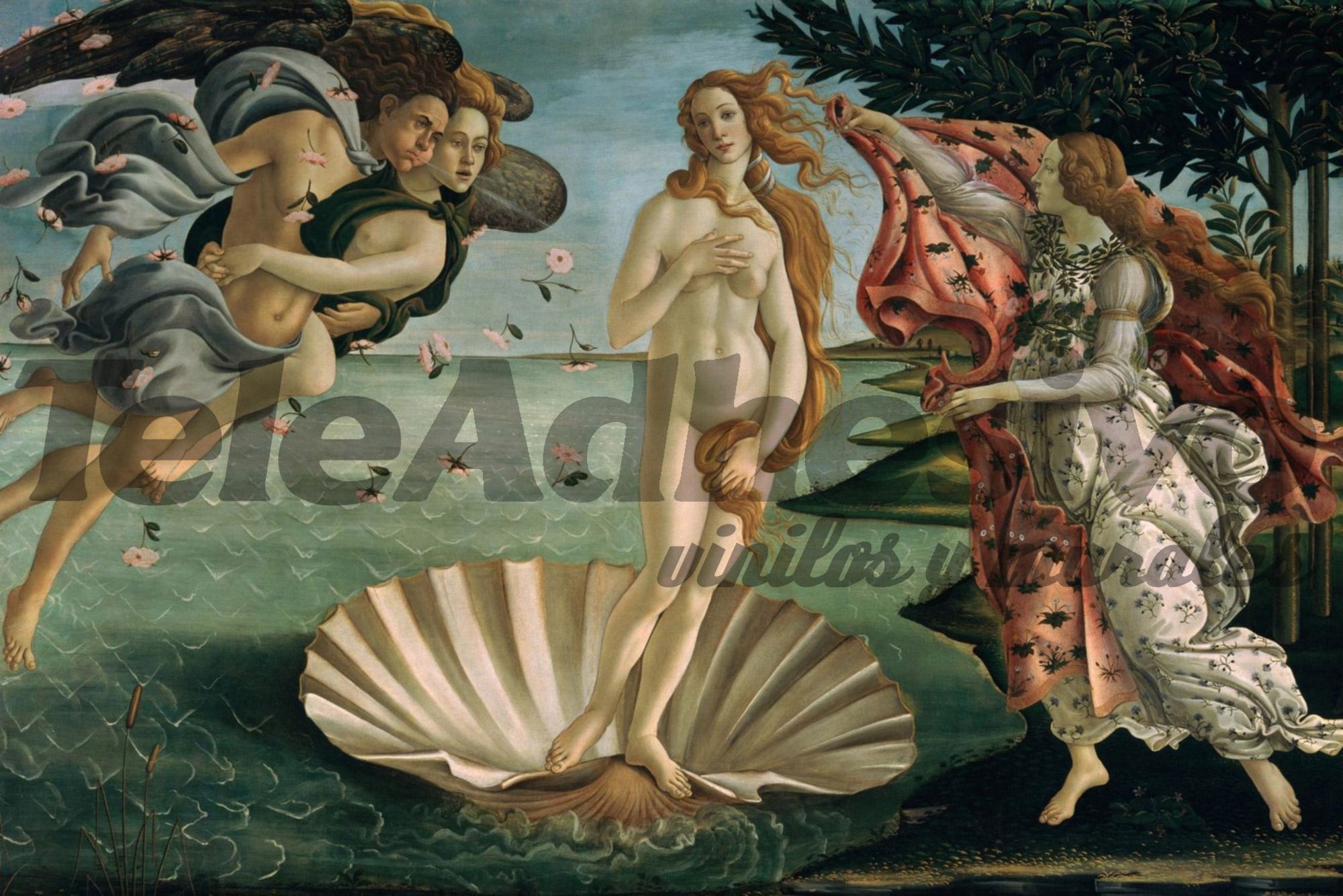 Fotomurales: Nacimiento de venus, Botticelli