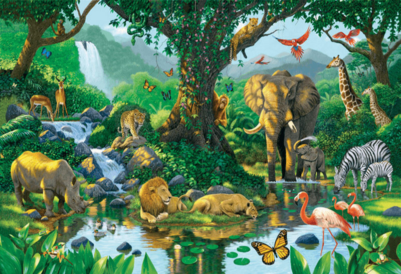 Fotomurales: Selva