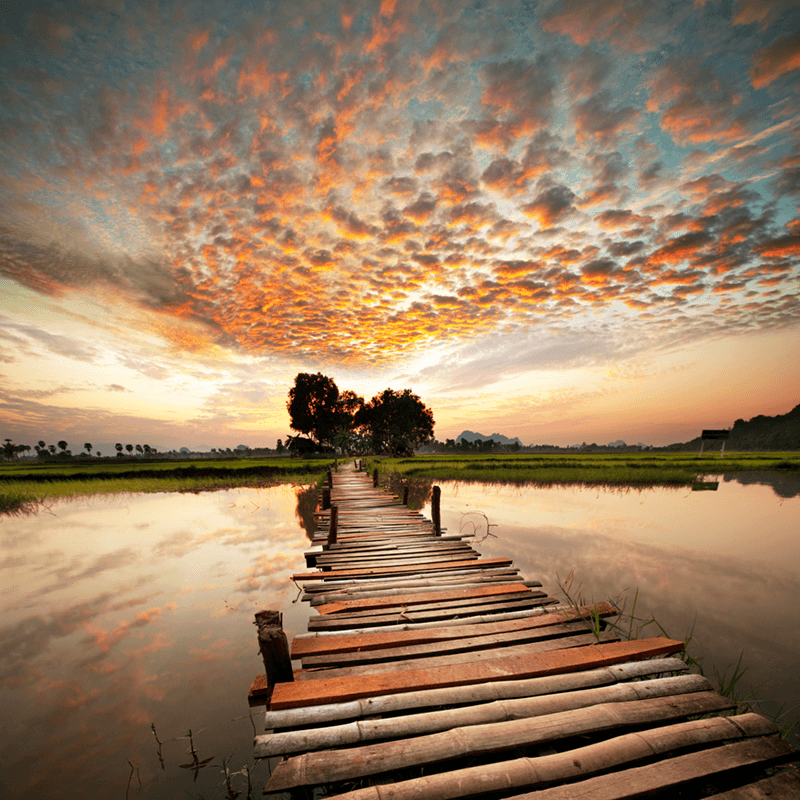 Fotomurales: Puente en el lago