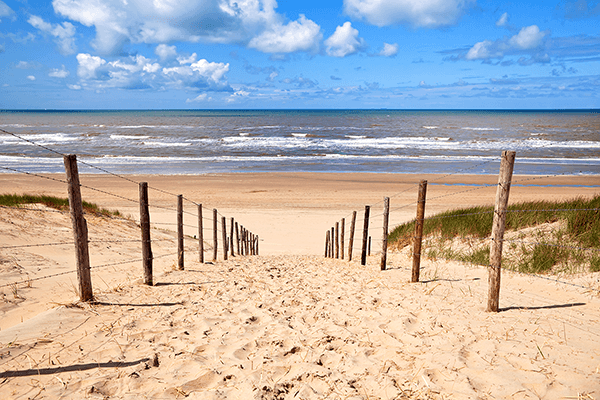 Fotomurales: Senda a la playa