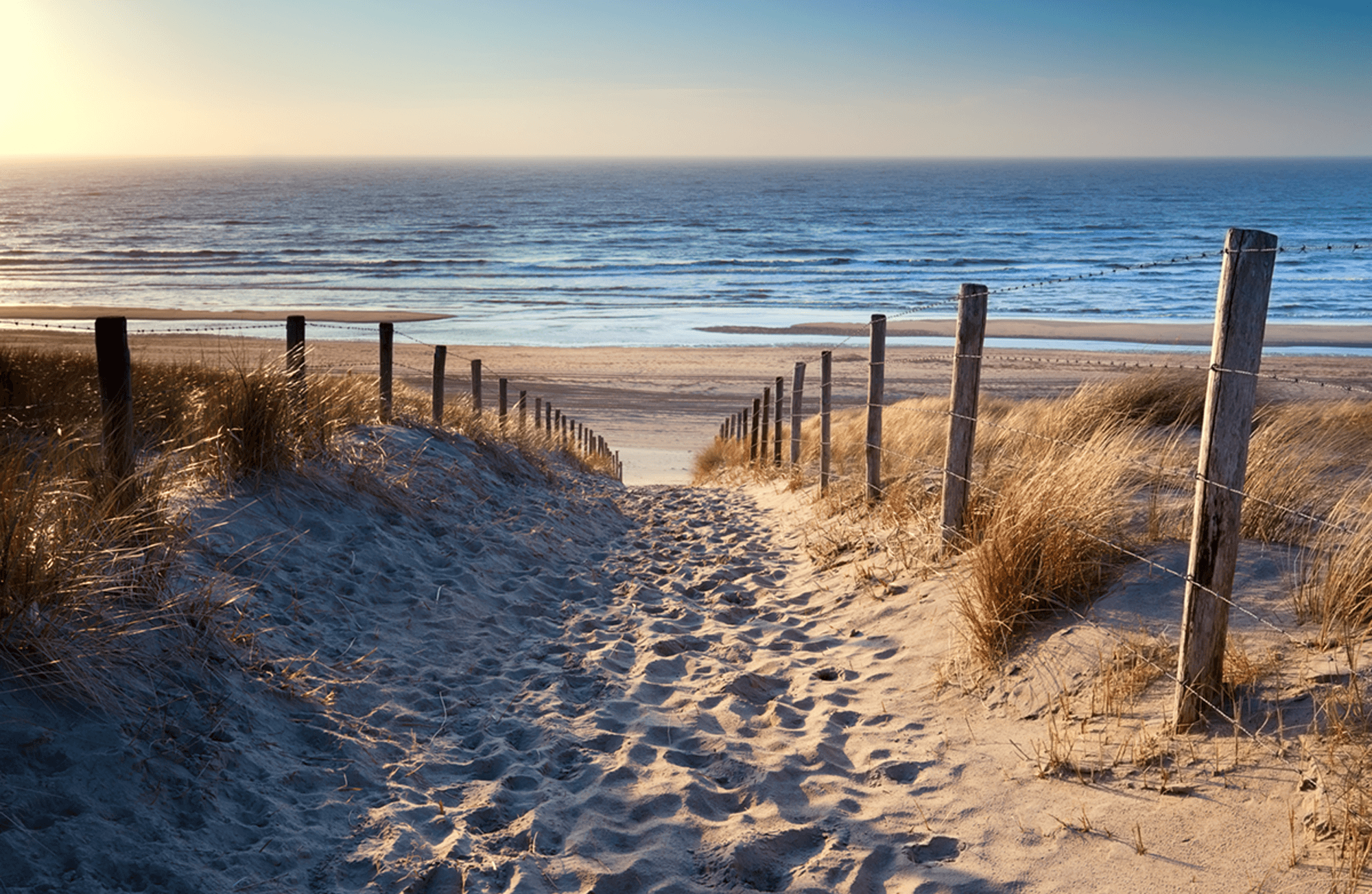 Fotomurales: Camino a la playa