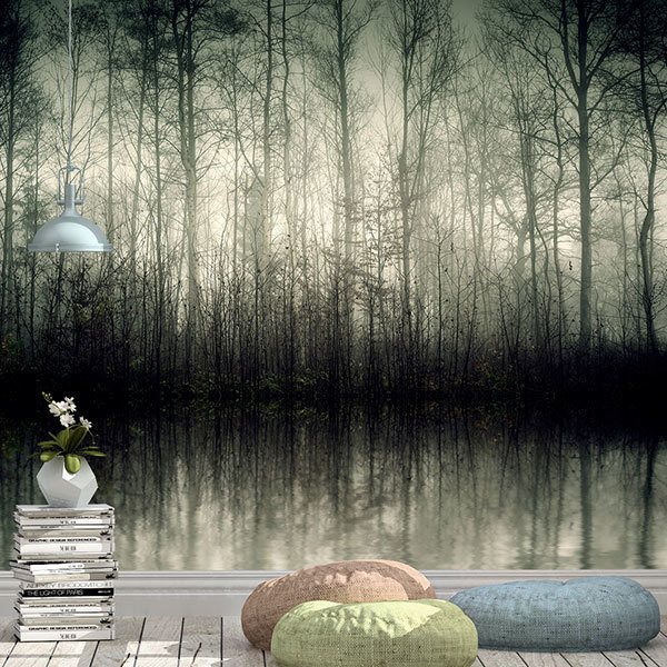 Fotomurales: Pantano en el bosque