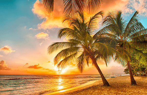 Fotomurales: Playa hawaiana