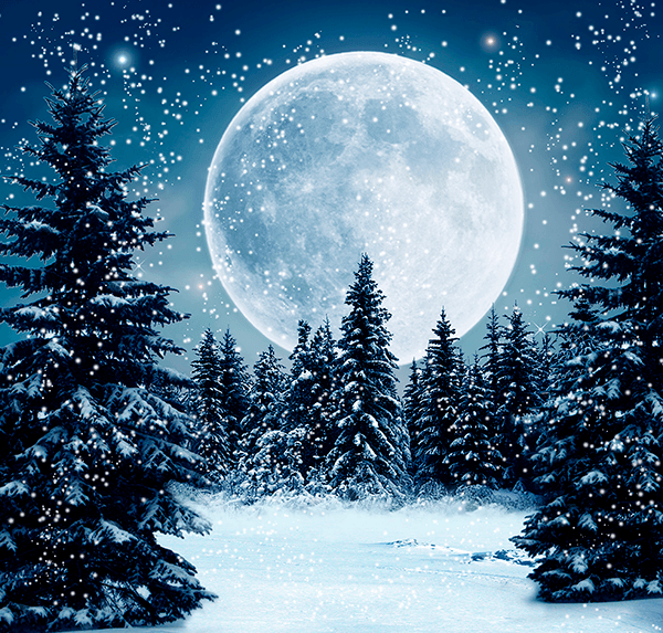 Fotomurales: Luna sobre bosque nevado