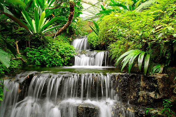 Fotomurales: Cascadas en el jardín tropical