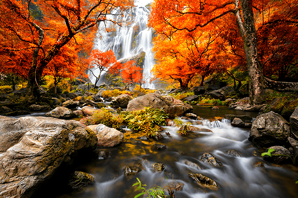Fotomurales: Cascada en otoño