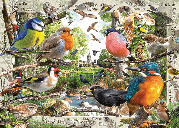 Fotomurales: Catálogo de aves