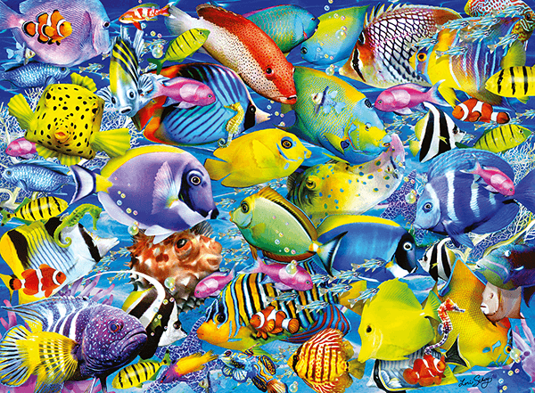 Fotomurales: Colección de peces de colores
