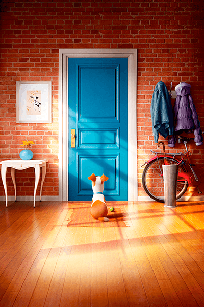 Fotomurales: Mascotas