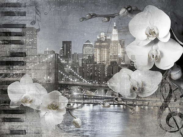Fotomurales: Collage Orquídeas en Nueva York