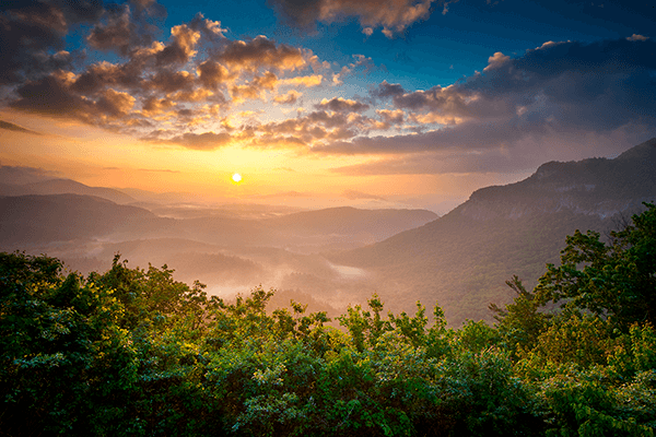 Fotomurales: Parque Nacional de Sri Lanka
