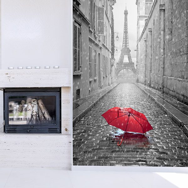 Fotomurales: Lluvia en París 0