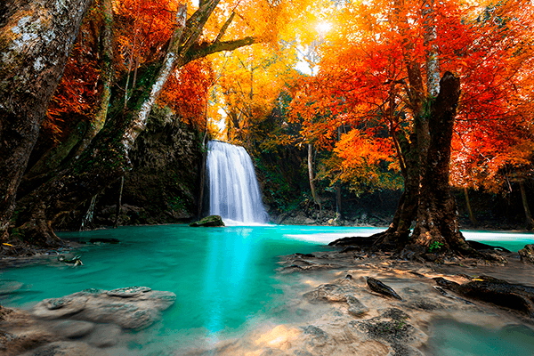 Fotomurales: Cascada profunda en otoño