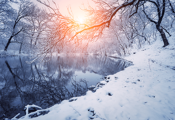 Fotomurales: Amanecer en invierno
