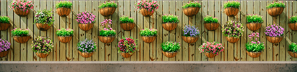 Fotomurales: Pared con macetas