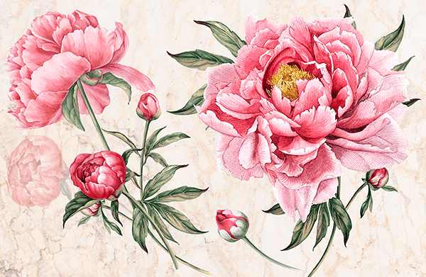 Fotomurales: Peonía, la flor de la novia