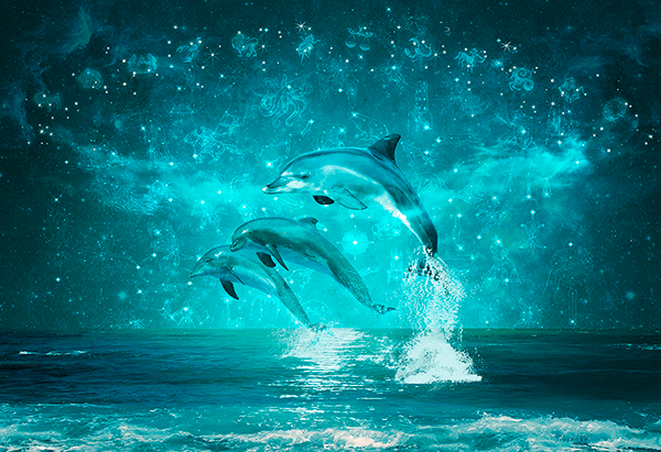 Fotomurales: Delfines y constelaciones