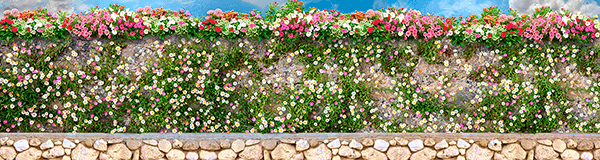 Fotomurales: Pared con flores