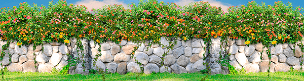 Fotomurales: Muro de flores
