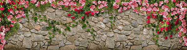 Fotomurales: Muro de Rosas