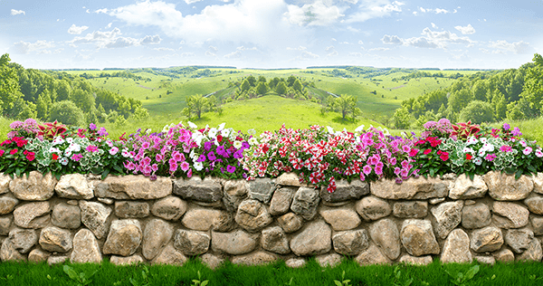 Fotomurales: El muro de las flores