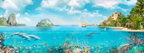 Fotomurales: Fauna Marina