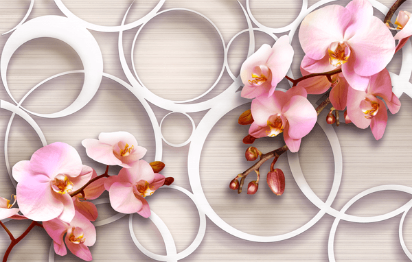 Fotomurales: Orquídeas Rosas
