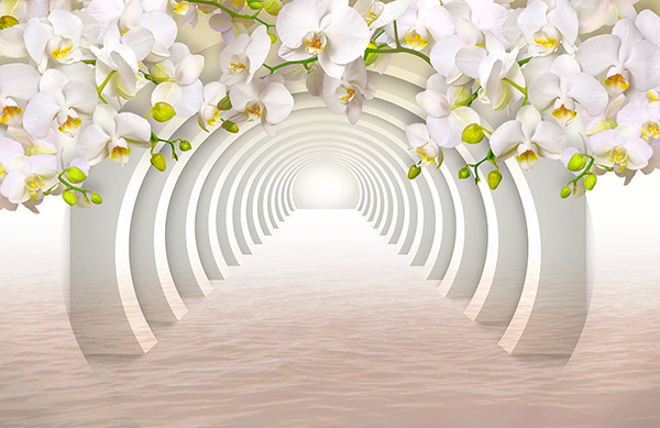 Fotomurales: Orquídeas blancas
